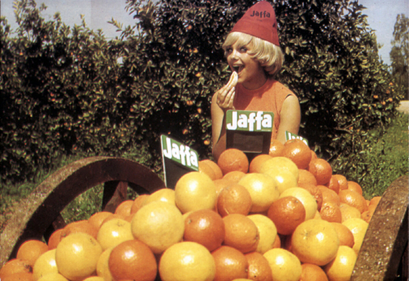 Photo Jaffa, the Orange’s Clockwork 1
